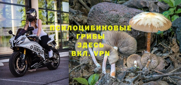 стафф Алексеевка