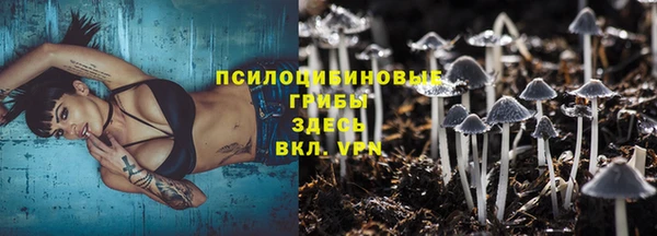 ешки Алзамай